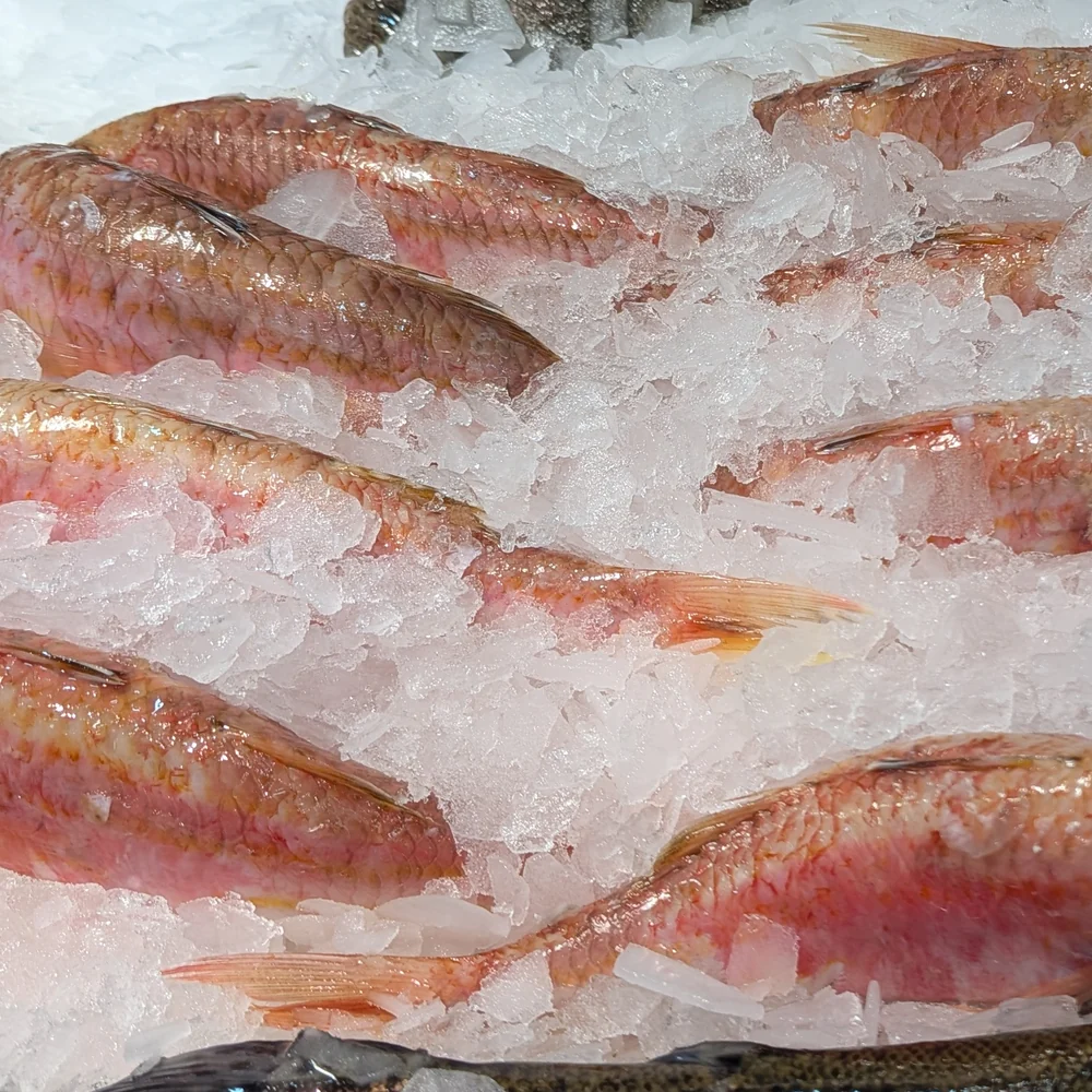 Detalle de pescado sobre hielo en el mostrador de Sonia